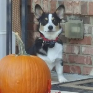 Meet your Posher, Trey